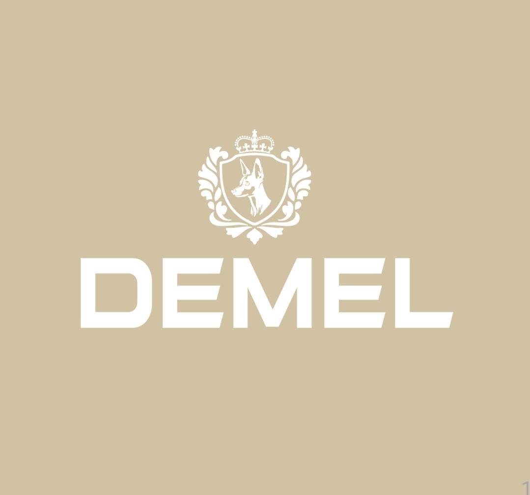 Logo DEMEL